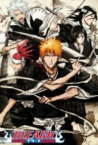 Bleach (2004)