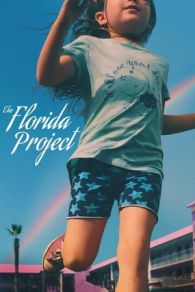 El proyecto de Florida (2017)