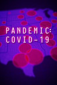 Pandemia COVID-19 (2020)